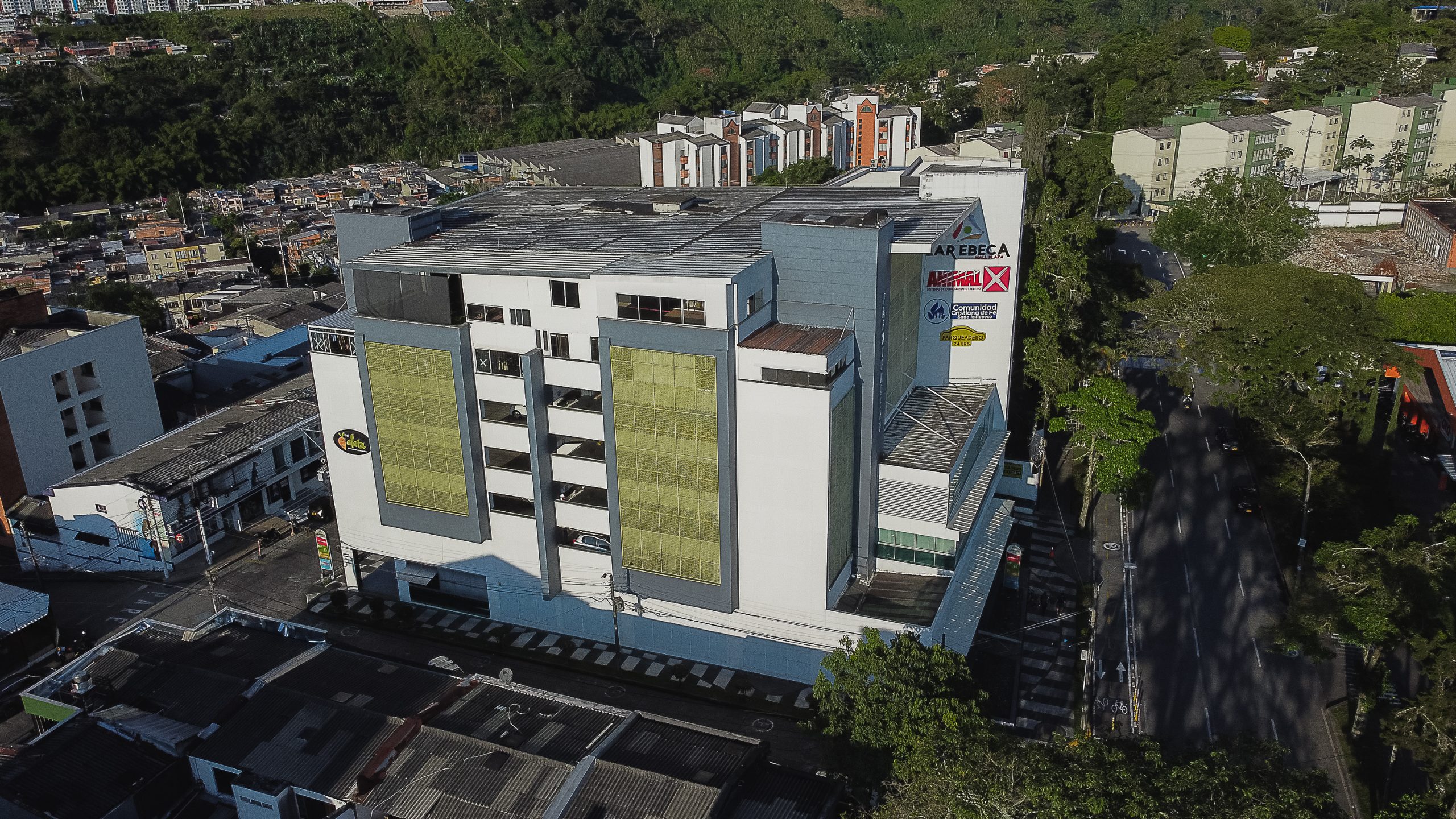 DCIM101MEDIADJI_0111