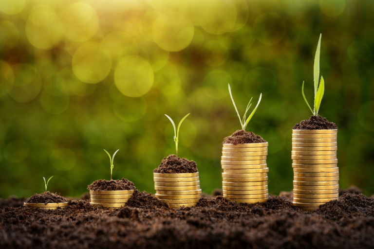 PORTAFAS TIMONTTI (1000 x 667 px) (1)