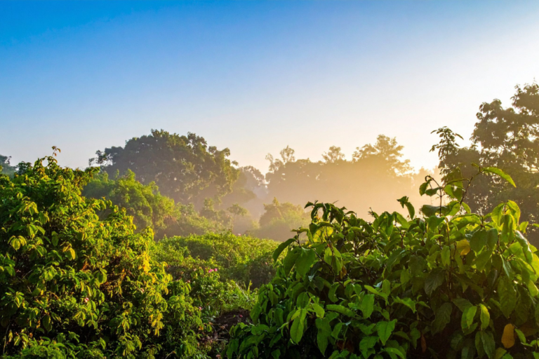 PORTAFAS TIMONTTI (1000 x 667 px) (2)