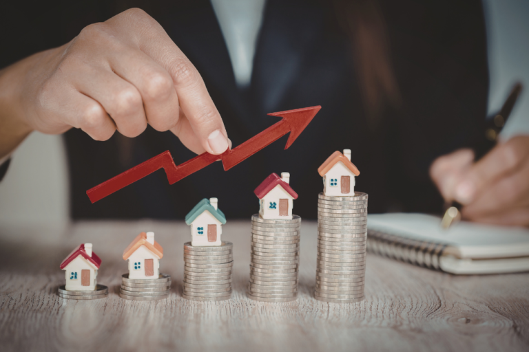 PORTAFAS TIMONTTI (1000 x 667 px)